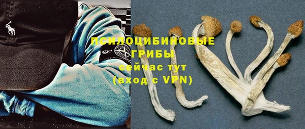 ешки Балахна