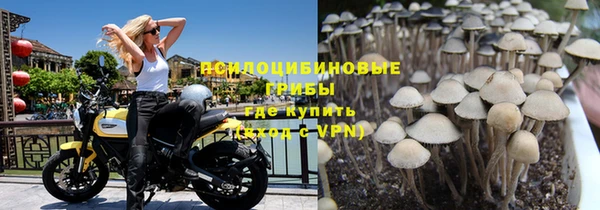 прущая мука Армянск