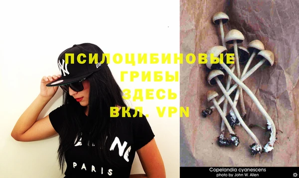 MESCALINE Балабаново