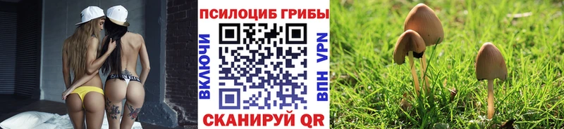 закладка  Реж  Псилоцибиновые грибы Magic Shrooms 